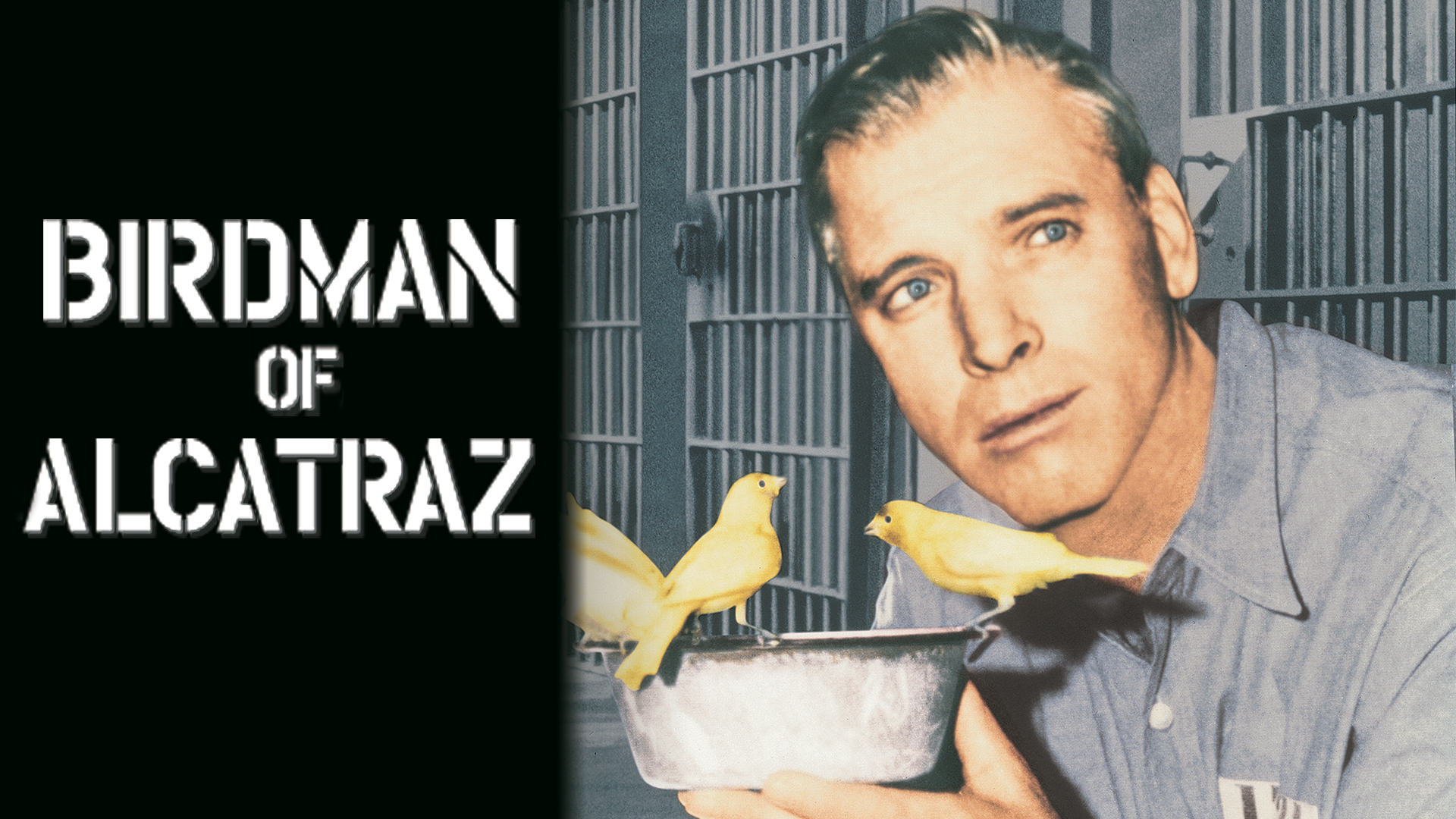 Birdman of alcatraz